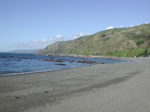 Pukerua_Beach_towards_Kapiti_Coast