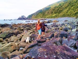 Shore south of Pukerua Bay.