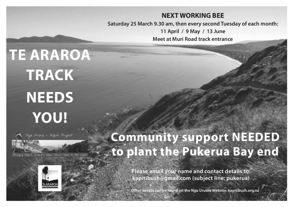Te Araroa Track needs you! Saturday 25 March 9.30 am, meet at Muri Road track entrance. Community support NEEDED to plant the Pukerua Bay end. 