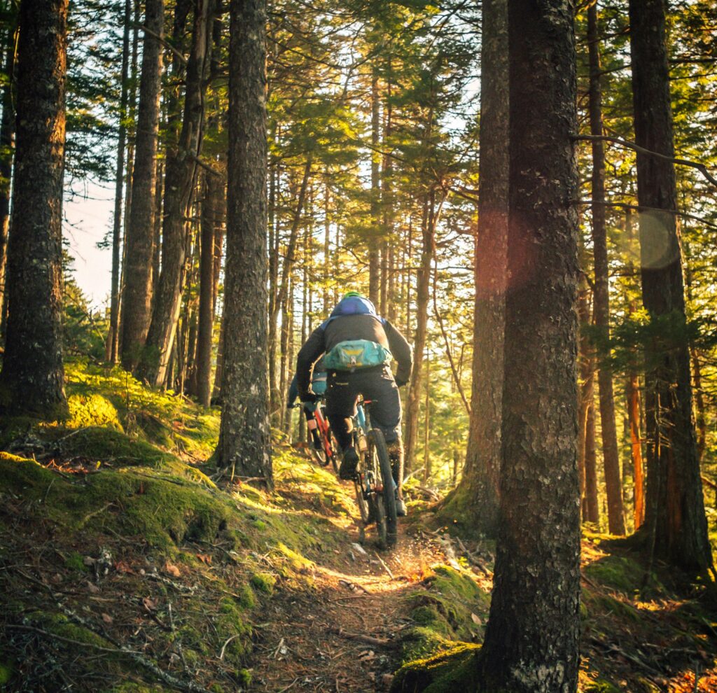 mountain biker riding through a sunlit forest